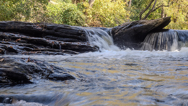 Yaw: Senate ERE Committee Oks Bills Addressing Stream Maintenance, Offering Protections for Landowners